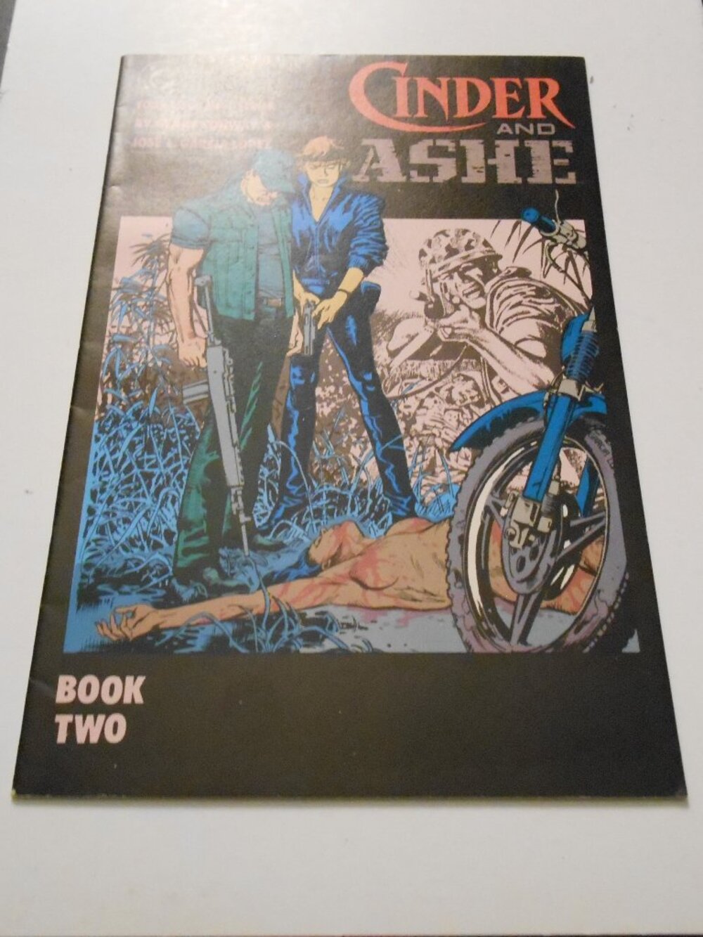 CINDER AND ASHE #2 Written by Gerry Conway Art & Cover by Jose Luis Garcia-Lopez